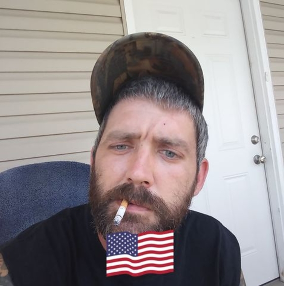 Meet your Posher, Chickens - Picture 1 of 1